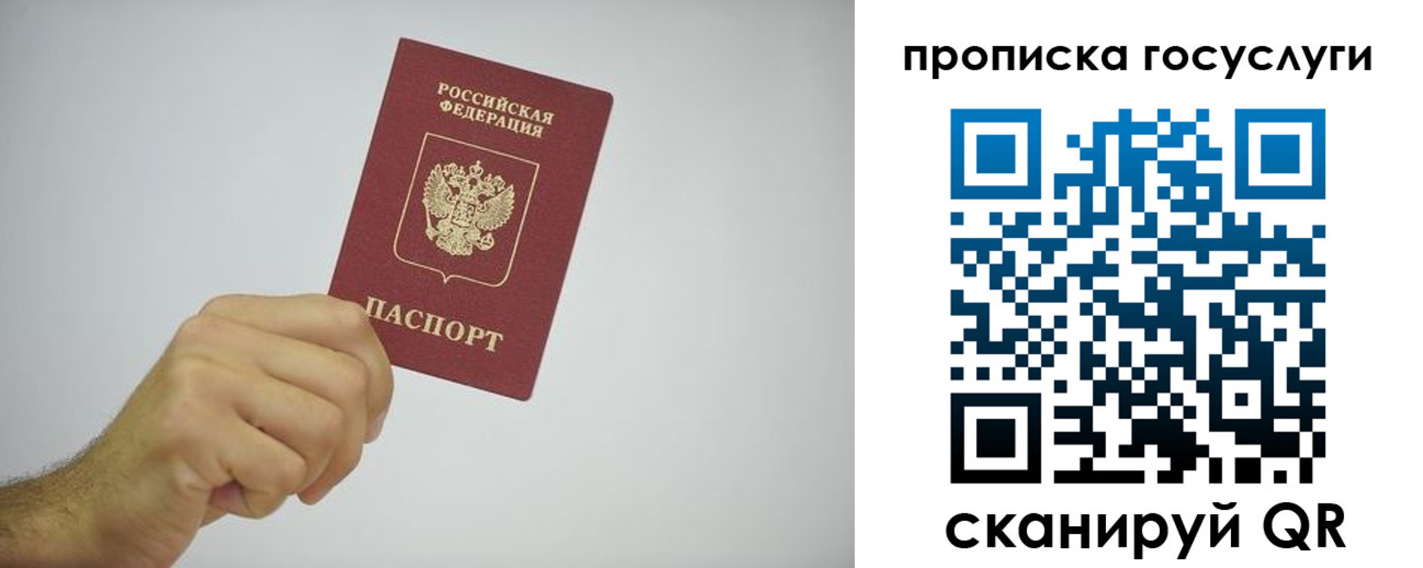 прописка законно в Тереке